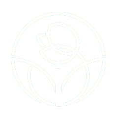 https://garden.itdevsoft.com/gardener_module_admin_uploads/2019/08/white_rose.png